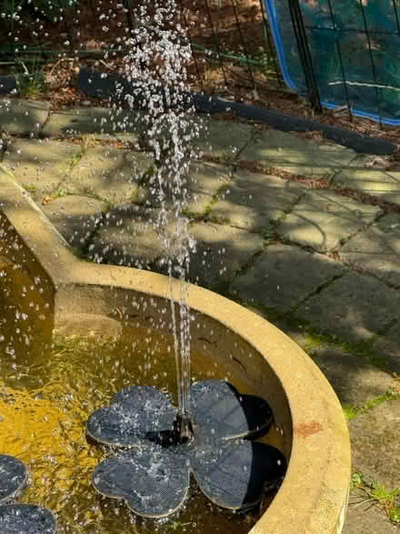 Photo of free Two solar fountain pumps (Lake Mohegan, NY) #2