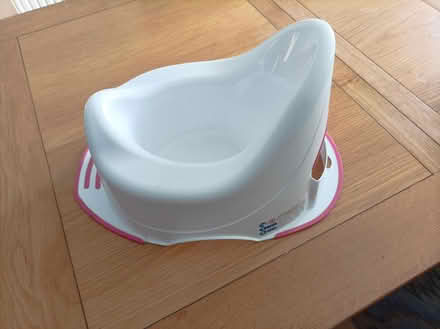 Photo of free Potty (Upton CH49) #1