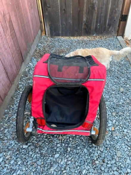 Photo of free Dog bike trailer (Downtown Mountain View) #2
