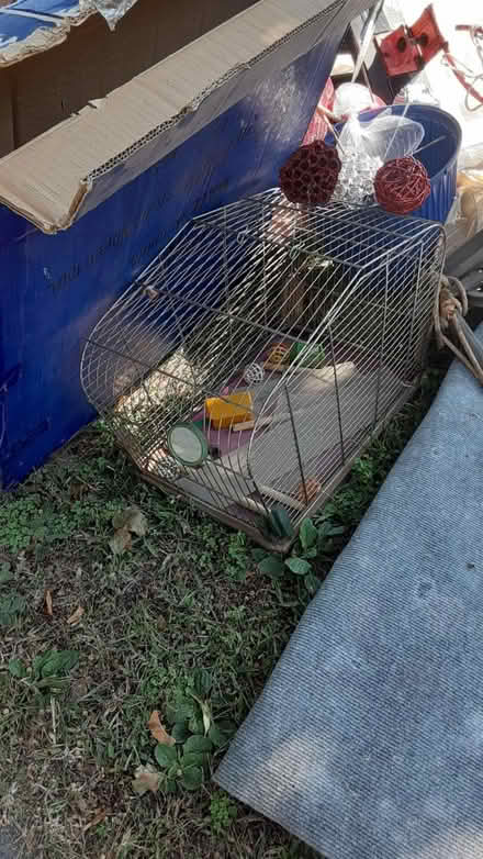 Photo of free Curb alert (Southdown and Truscott) #1