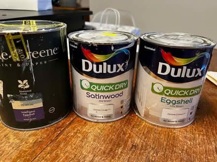 Photo of free Paint (Golden Triangle NR2) #1
