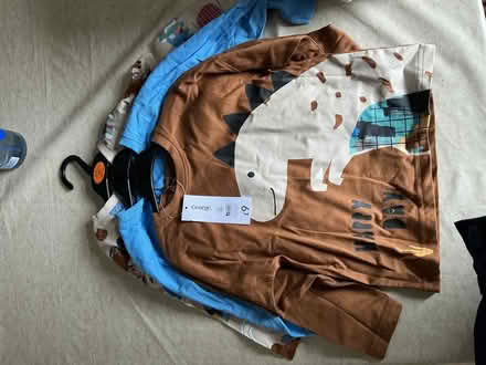 Photo of free Long sleeved tee shirts, age 2-3 new (Cox Green SL6) #1