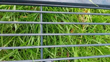 Photo of free Panels from a metal pet-rat cage (Bloomfield) #2