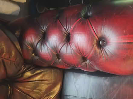 Photo of free Real leather sofa and armchair 3+1 (Clifton NG11) #1