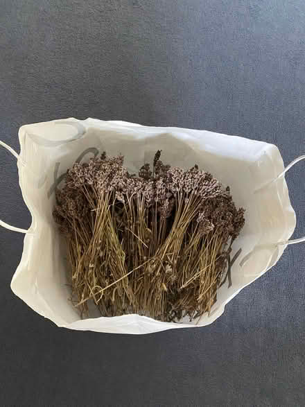 Photo of free Lavender (Prestwood HP16) #1