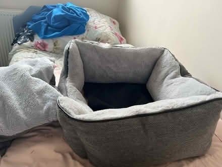 Photo of free Dog bed ( medium) (Littlehampton, BN17) #2