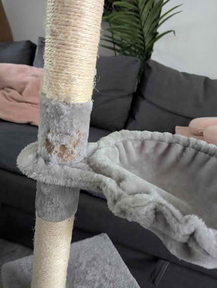 Photo of free Cat tree (Salford M3) #2