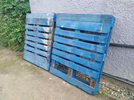 Photo of free 2 blue Euro pallets (Hemel Hempstead HP2) #1