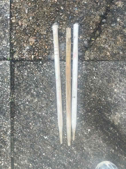 Photo of free Cricket stump sticks (Wallands Park BN7) #1
