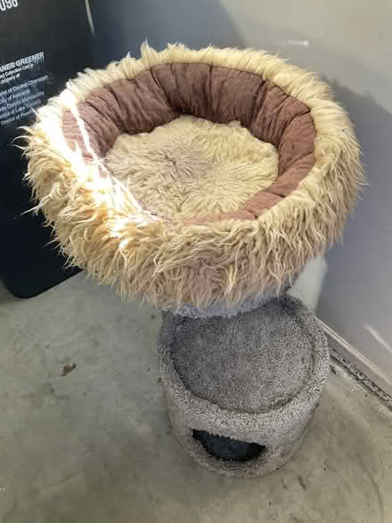 Photo of free Cat stuff (Yates Road) #1
