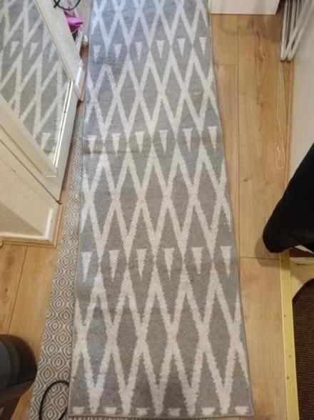 Photo of free Running rug (SW15 Putney Vale) #1