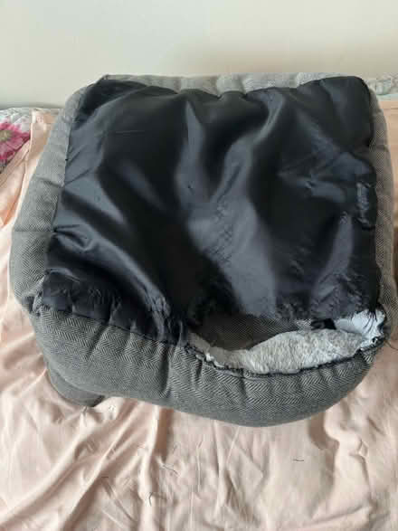 Photo of free Dog bed ( medium) (Littlehampton, BN17) #4