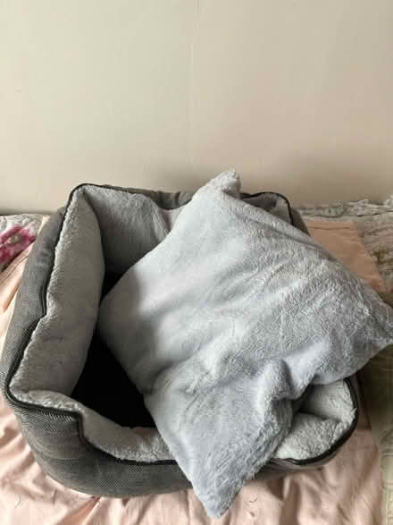 Photo of free Dog bed ( medium) (Littlehampton, BN17) #3
