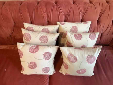 Photo of free John Lewis cushions x6 (Sale Moor M33) #1