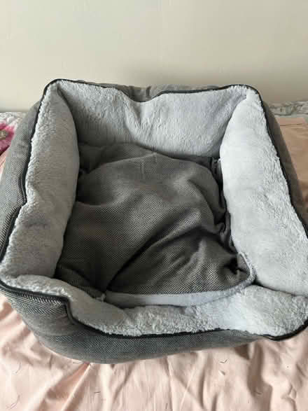 Photo of free Dog bed ( medium) (Littlehampton, BN17) #1