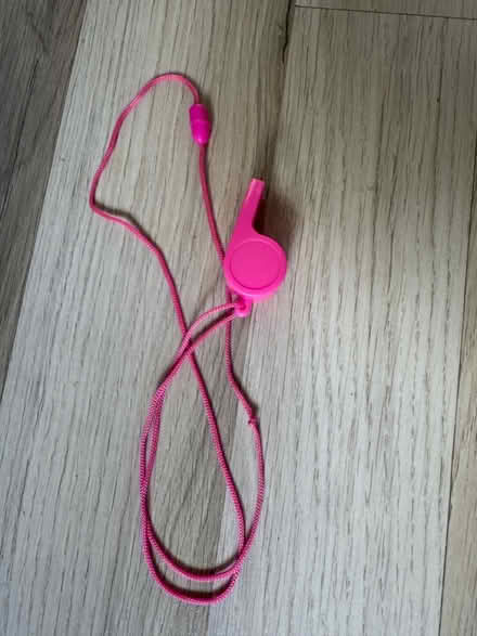 Photo of free Pink whistle (GL3) #1