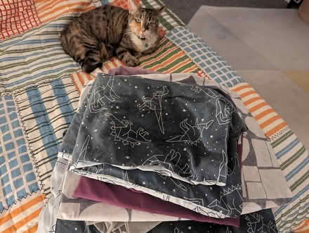 Photo of free Bedding bundle (Ingol PR2) #1