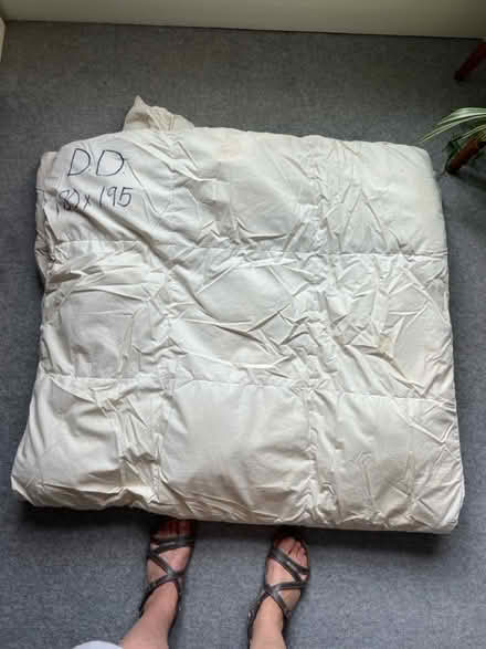 Photo of free Duvet. Double. Duck down (Hove BN3) #1