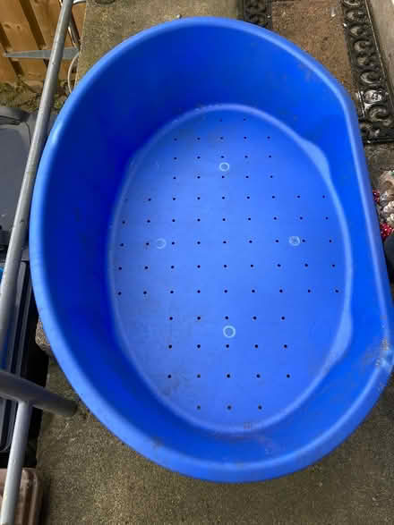 Photo of free Blue Plastic Dog Bed (AB12) #1