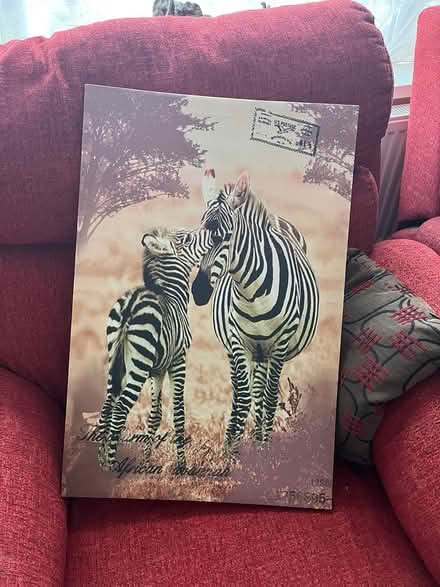 Photo of free Canvas (Ipswich IP2) #1