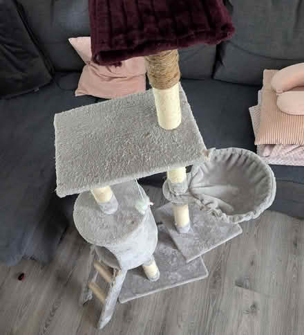 Photo of free Cat tree (Salford M3) #4