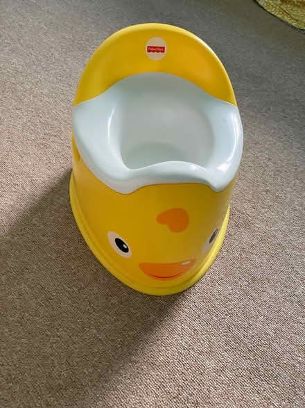 Photo of free Duck potty (Hastings, TN35) #1