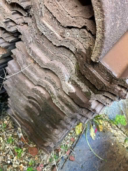 Photo of free Roof tiles (EX4) #2