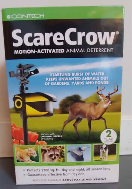 Photo of free Scarecrow (94087) #1