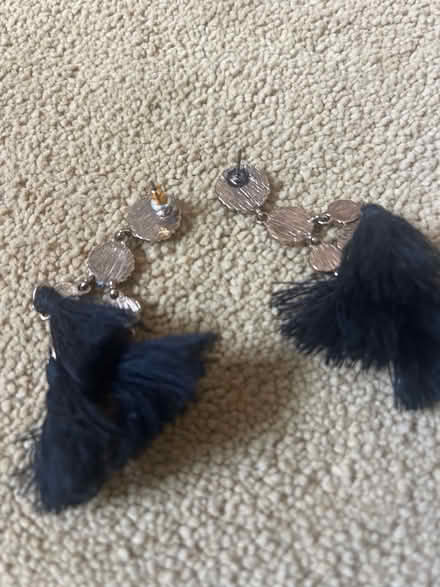 Photo of free Earrings for pierced ears (Blacklands TN34) #2