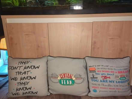 Photo of free Pillows (Crown Wood RG12) #2