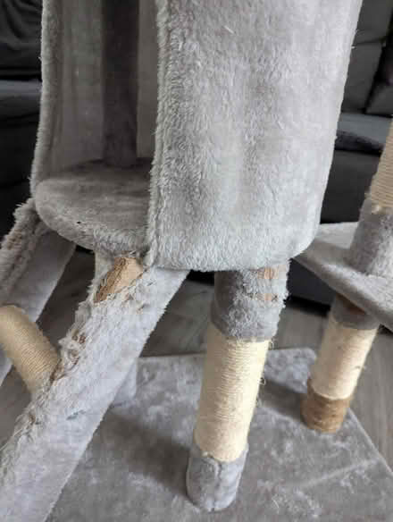 Photo of free Cat tree (Salford M3) #3