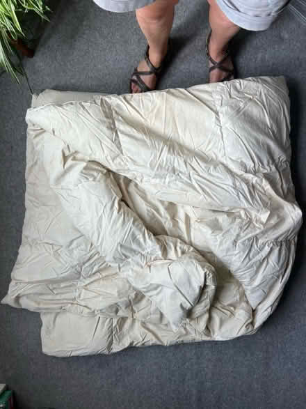 Photo of free Duvet. Double. Duck down (Hove BN3) #2