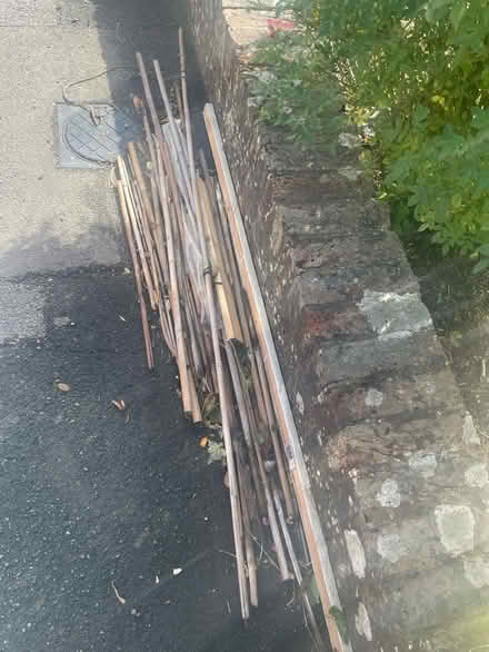 Photo of free Bits of wood, plant canes (Wallands Park BN7) #1