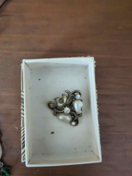 Photo of free Broken jewelry (for crafts?) (Ann Arbor Northwest Side) #3