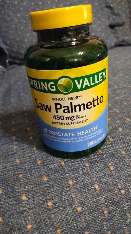 Photo of free Saw Palmetto (Allen) #1