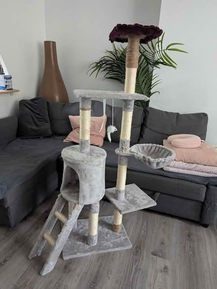 Photo of free Cat tree (Salford M3) #1