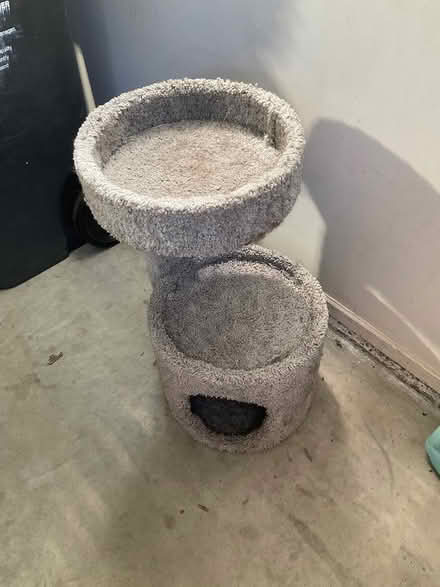 Photo of free Cat stuff (Yates Road) #2