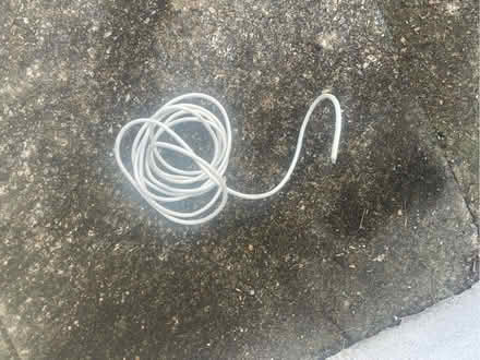 Photo of free Net curtain type cord (Wallands Park BN7) #1