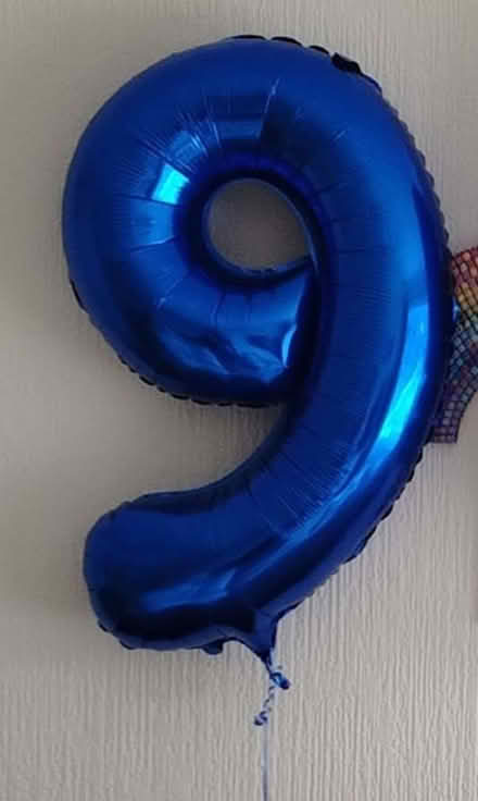 Photo of free Large Number 9 Balloon (Fairfield LA1) #1