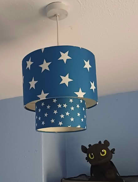 Photo of free Lampshade (Trewoon) #1