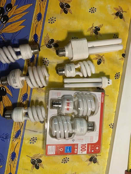 Photo of free Mini fluorescent light bulbs (Nr Fresh Pond & Mt Auburn Cem.) #1