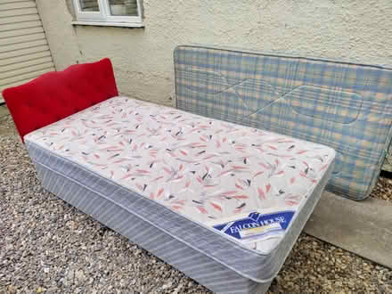 Photo of free Single bed (Sprowston NR7) #1