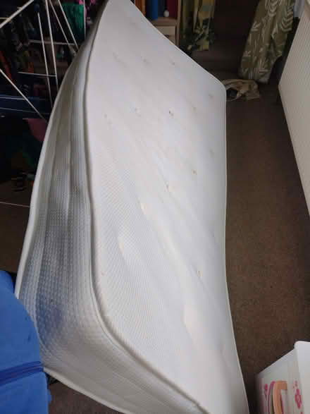Photo of free Single mattress (Little Eaton DE21) #2