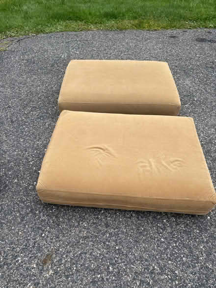 Photo of free dog beds (Shrewsbury) #1