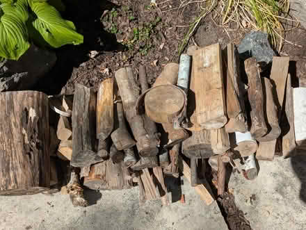 Photo of free Firewood at curb (Champlain Park) #2