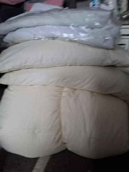 Photo of free Beddig (W12) #1