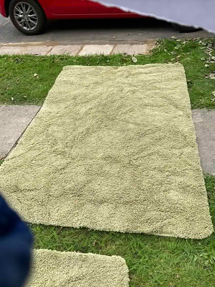 Photo of free Large Washable Green rug (NR18) #1