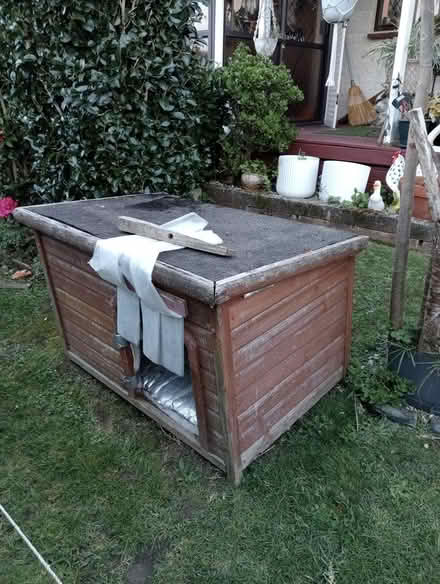 Photo of free Wooden dog kennel (New Lynn) #2