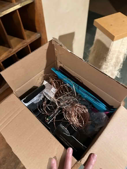 Photo of free Battery operated fairy lights (Wattles and Squirrel) #1