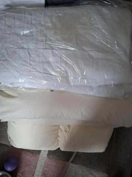 Photo of free Beddig (W12) #2